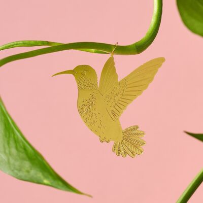 Plant Animal Hummingbird decoration