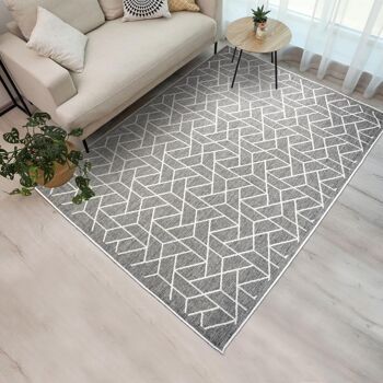 Tapis exterieur 280x380cm AF BRIKA REVERSIBLE Argent en Polypropylène 2