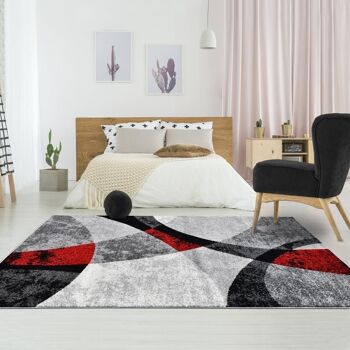 Tapis salon 200x280cm RADULE Rouge en Polypropylène 2