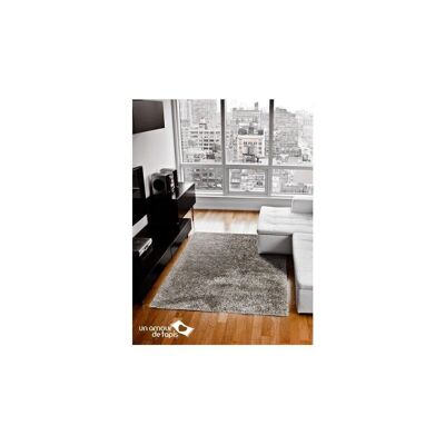 Tapis shaggy 160x230cm MALAIDORY Gris. Tapis artisanal en Polyester