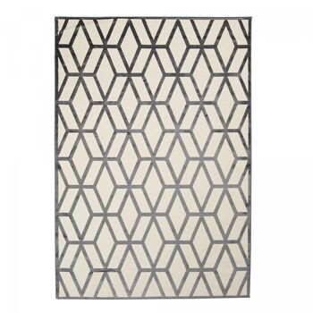 Tapis salon 200x290cm SONDAC Ecru en Viscose 1