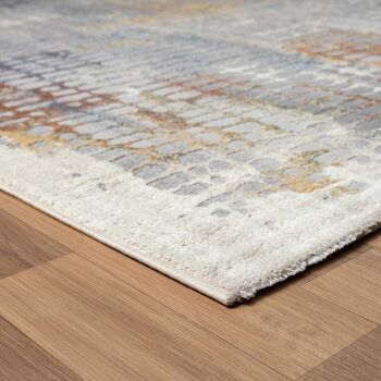 Tapis salon 200x280cm SOLGA F Multicolore en Polyester 3