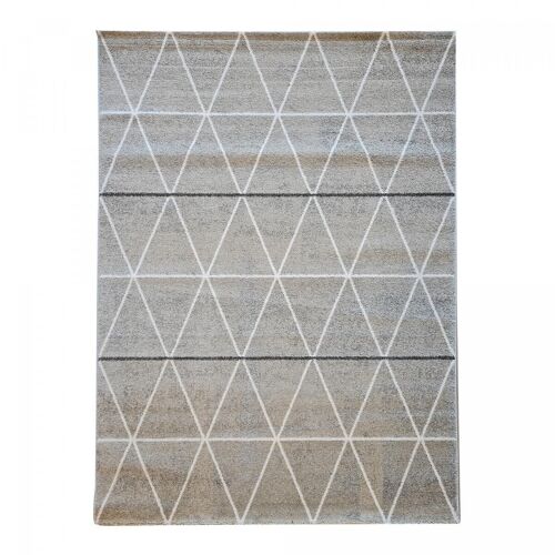 Tapis salon 160x230cm LEYSAN Gris en Polypropylène