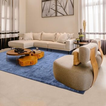 Tapis salon 200x300cm NEO LUXE Bleu. Tapis artisanal en Viscose 2