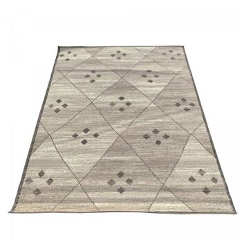 Tapis salon 190x280cm AF FEZA Gris en Polypropylène 4