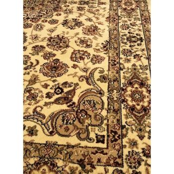 Tapis orient style 80x140cm AKLIM Beige en Polypropylène 3