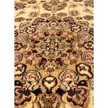 Tapis orient style 80x140cm AKLIM Beige en Polypropylène 4