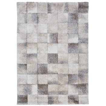 Tapis salon 200x290cm ELEGANT 02 Beige en Polypropylène 1