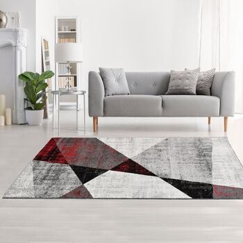 Tapis salon 200x280cm ROSALINE Rouge en Polypropylène 2