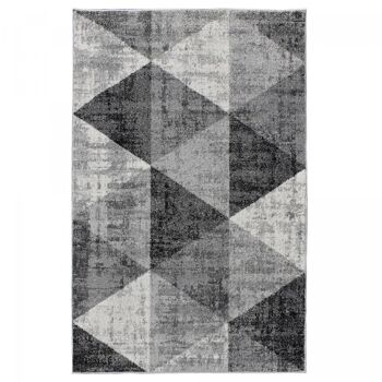 Tapis salon 200x280cm SOLTAM Gris en Polypropylène 1