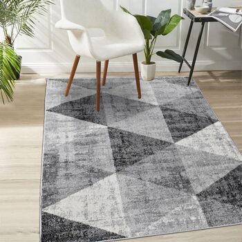 Tapis salon 200x280cm SOLTAM Gris en Polypropylène 2