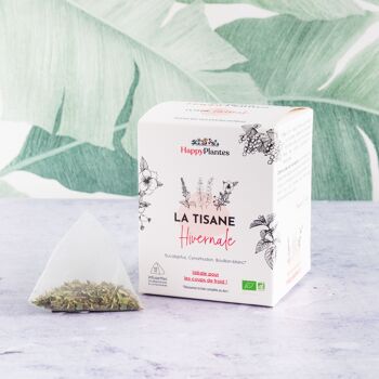 Infusion Hivernale Immunité Tonus thym eucalyptus, sachet 3