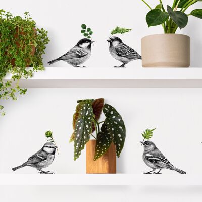 Vinilo decorativo conjunto pájaros - ilustración pájaros - arte pared - decoración pared