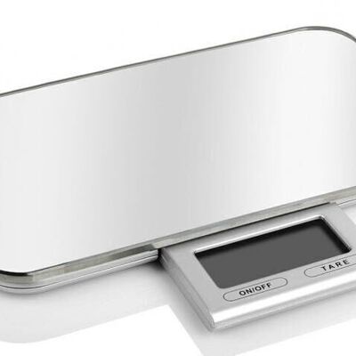 SLIM scale with retractable screen *