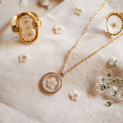 Collar ALMA