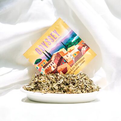 Tè Premium Odyssey "Bormes" - Rack da 25 bustine di tè artigianali