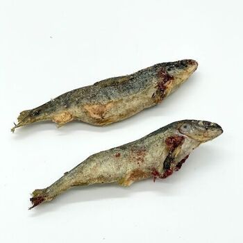 Petit saumon Lyophilisé- Friandise naturelle pour chien 3