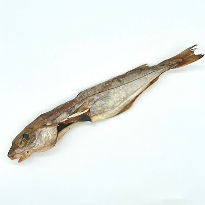 Haddock - Natural treat for dogs