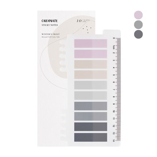 Winter's Frost | Ordinate 200 Stück Haftnotizen Tabs | Gray Stile Pagemarker Selbstklebend Pastell | Beschreibbare Haftstreifen Klebezettel mit Lineal für Seitenmarkierung | Lesezeichen