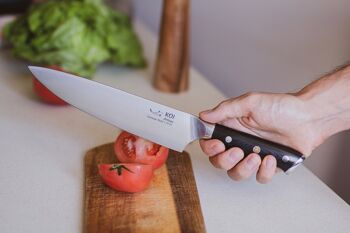 Couteaux de chef professionnels KOI ARTISAN - Couteaux allemands de 8 pouces à haute teneur en carbone EN1. 4116 Acier Inoxydable 7