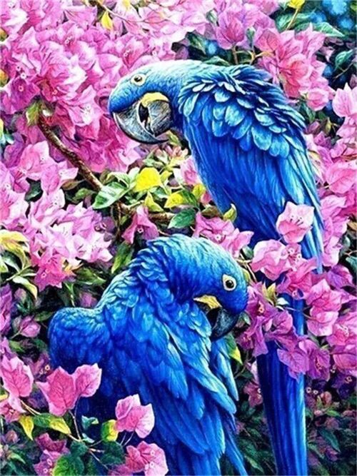 Diamond Painting Blue Parrots, 30x40 cm, Square Drills