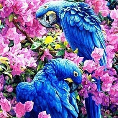 Diamond Painting Blue Parrots, 30x40 cm, Square Drills