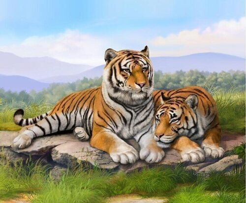 Diamond Painting The Two Tigers, 30x40 cm, Square Drills