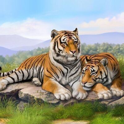 Diamond Painting The Two Tigers, 30x40 cm, Square Drills