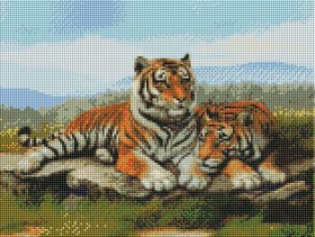 Peinture diamant Les deux tigres, 30x40 cm, forets carrés 2