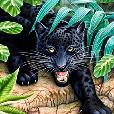 Diamond Painting Black Panther, 30x40 cm, Square Drills