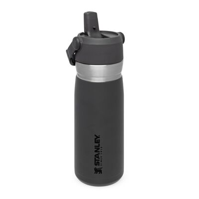 Stanley Flip Straw Water Bottle | 0,65L - Bouteille d'eau Isotherme en Inox avec Paille Fitness - Gourde Inox avec Poignée - Thermos