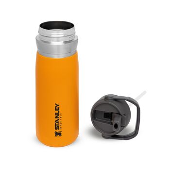 Bouteille d'eau avec paille rabattable Stanley | 0.65L - Bouteille d'eau Isotherme en Inox avec Paille Fitness - Gourde Inox avec Poignée - Thermos 20