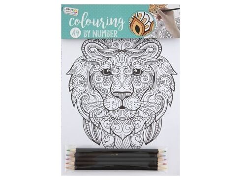 COLORS AND ANIMALS  drawing set - A4 size