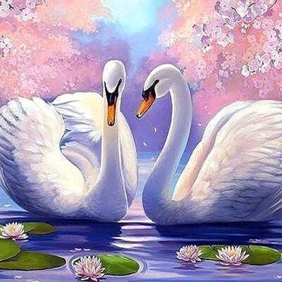 Diamond Painting Swans, 50x40 cm, Square Drills