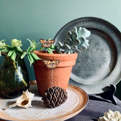 Tortoiseshell Butterfly Plant Pot Companions