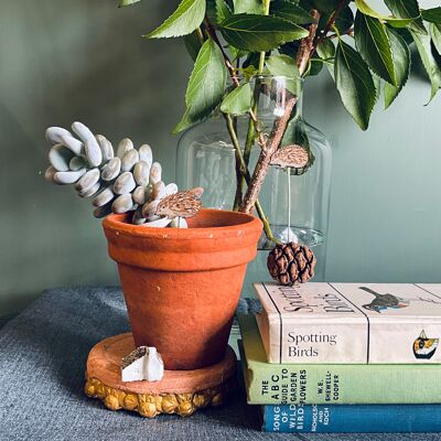 Hedgehog Plant Pot Companions