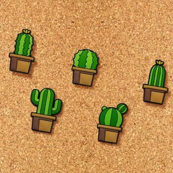 Punaises Cactus 3
