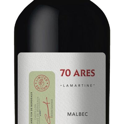 70 ARES, vin sans sulfites ajoutés, 100% Malbec, Castillon Côtes de Bordeaux 2020 Cadeau original pour les fêtes de Noël ou le nouvel an