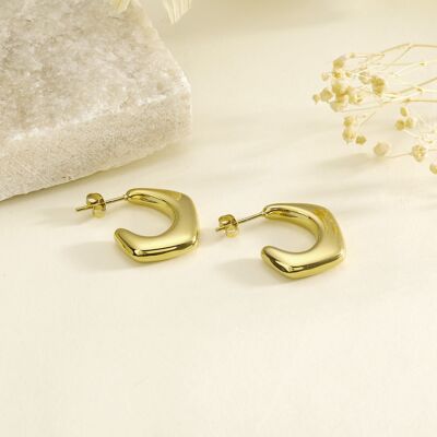 Gold thick circle earrings