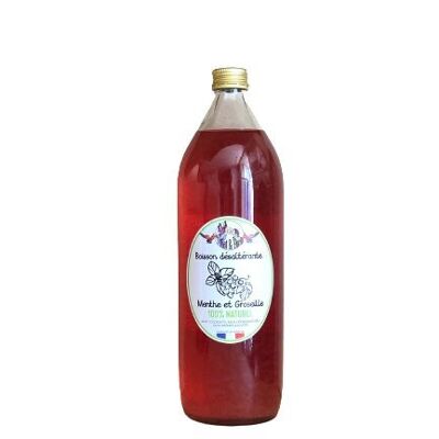 100% natural drink - Mint and Redcurrant