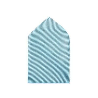 Bolsa de líneas azules y blancas.