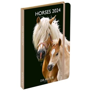 Agenda  -  Horses - Janvier 2024 à Decembre 2024 1