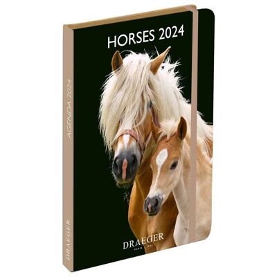 Agenda  -  Horses - Janvier 2024 à Decembre 2024