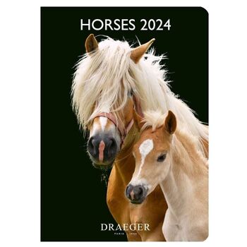 Agenda  -  Horses - Janvier 2024 à Decembre 2024 2