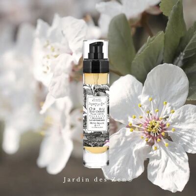 Plum Oil: Gold from the South West - 100% Organic Plum - Multifunctional beauty oil - Vegan - 100% Natural - French & artisanal