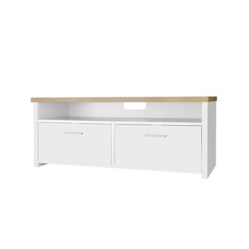 Meuble TV Living Design avec portes pliantes Couleur blanc naturel 100 x 40 x 40 cm (L x H x P) 1