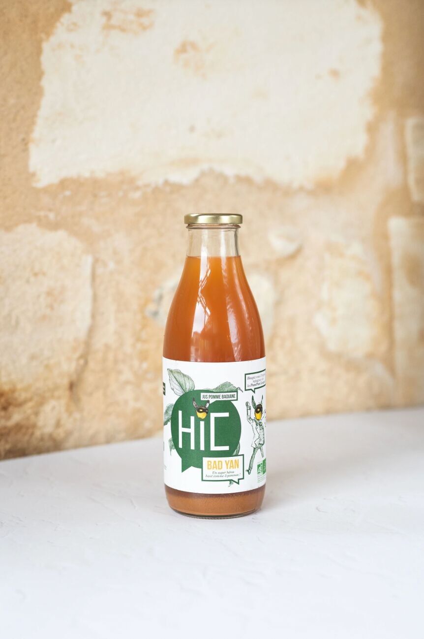 Succo BADYAN - biologico 1L