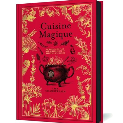 LIVRE - Cuisine Magique