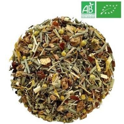 Té de Hierbas Orgánico Presente Instantáneo 1kg