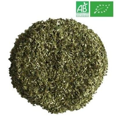 Maté vert bio 1kg